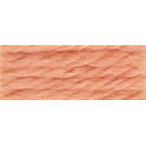 DMC Tapestry Wool 7009 Very Light Rust (Discontinued Colour) Article #486